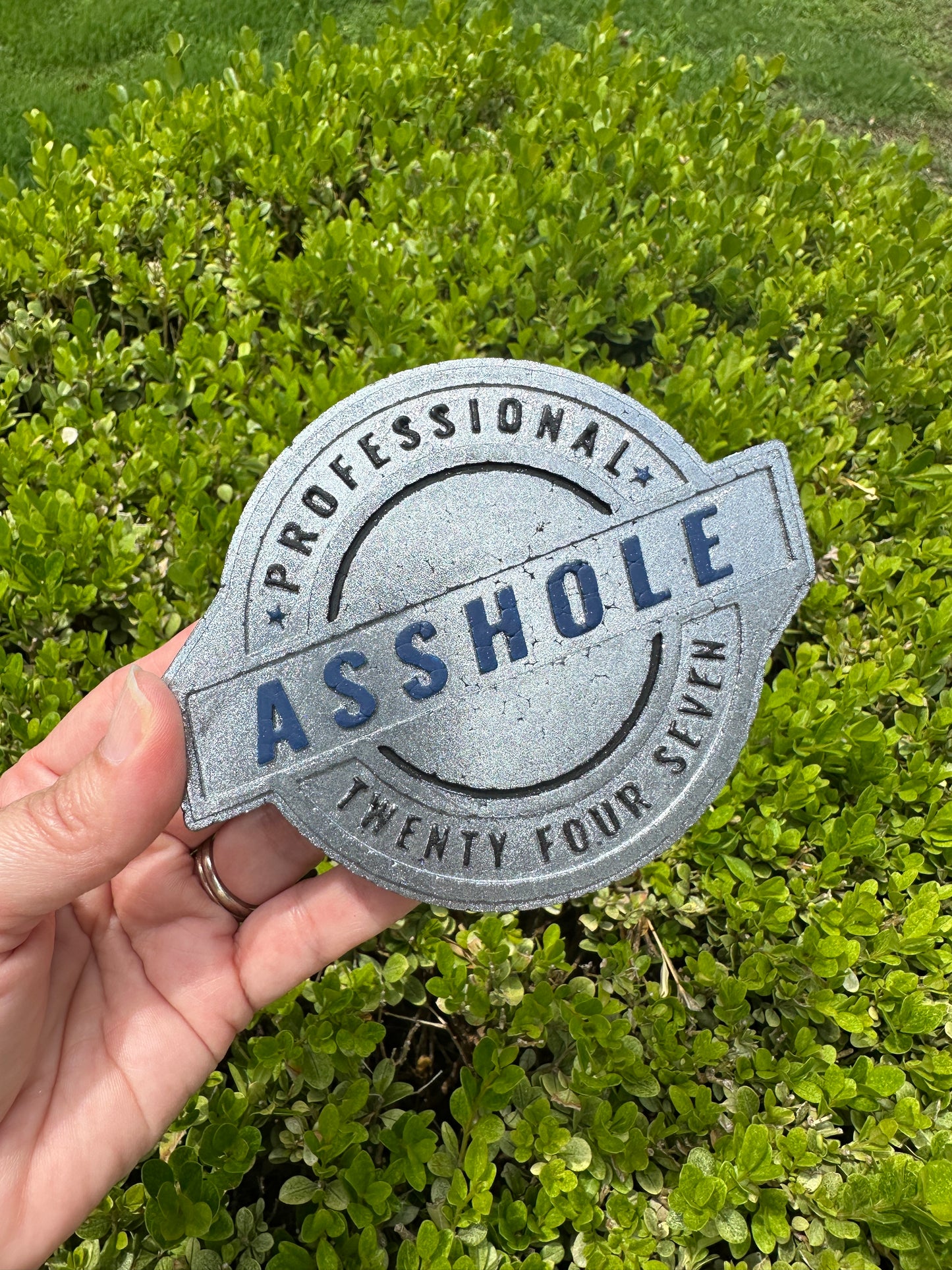 Professional A$$hole Dark Blue