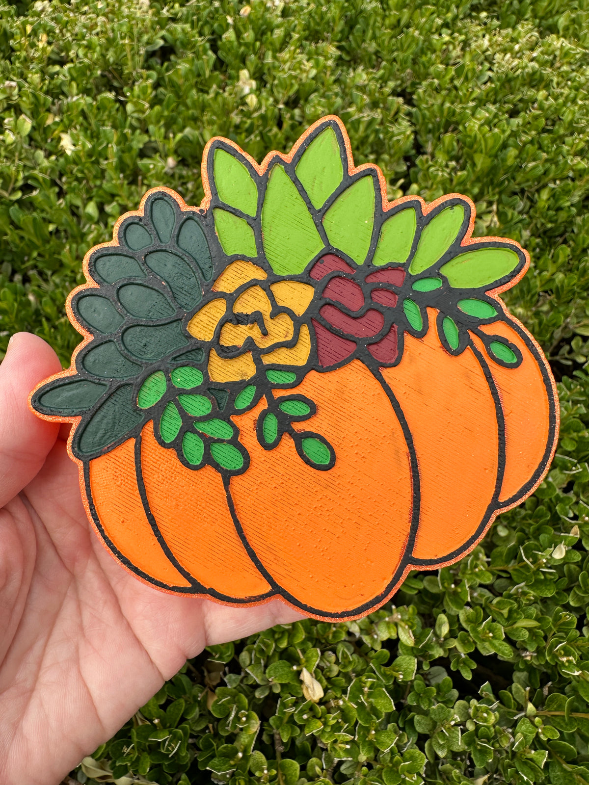 Short Pumpkin Succulent Dark